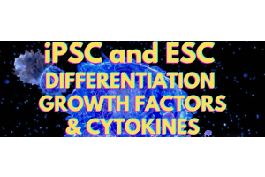 iPSCandESC